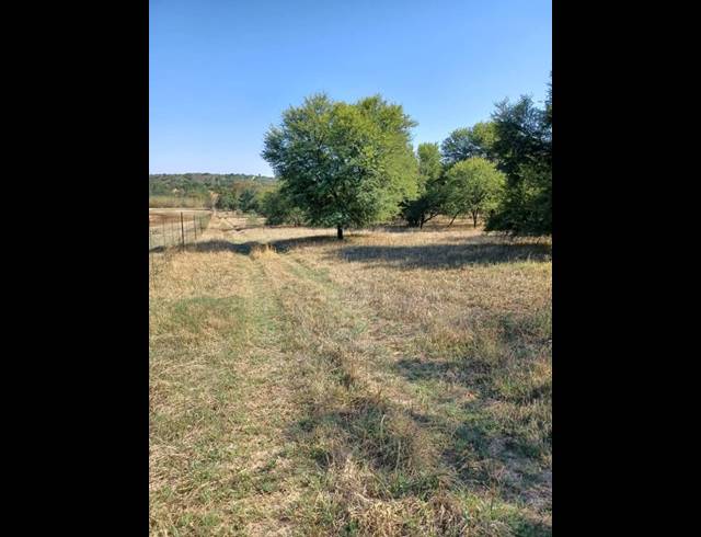 272HA FARM FOR SALE IN KOSTER